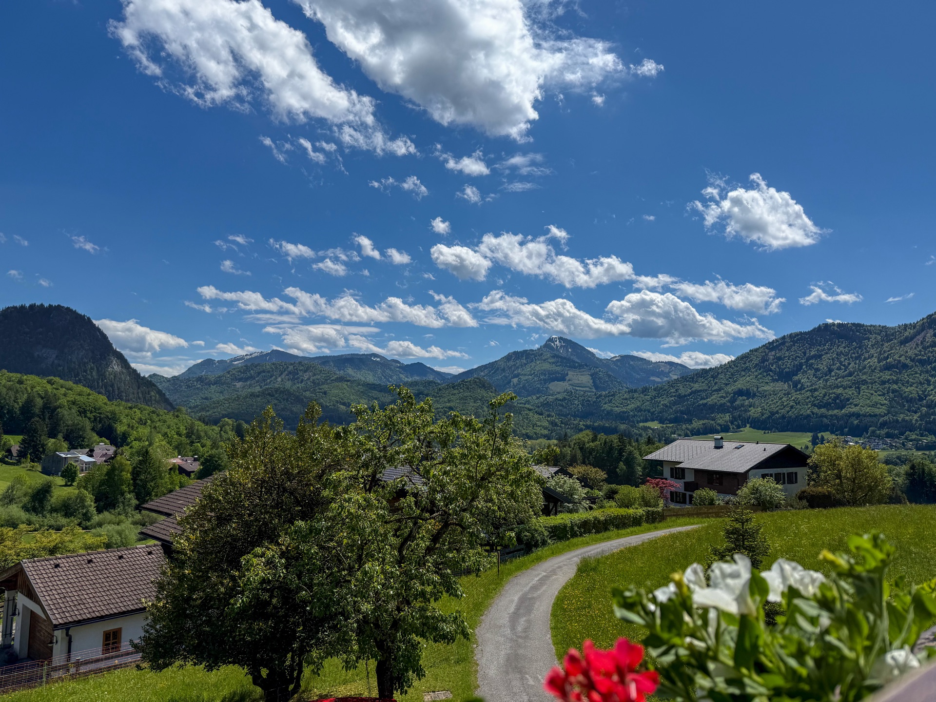 Schober